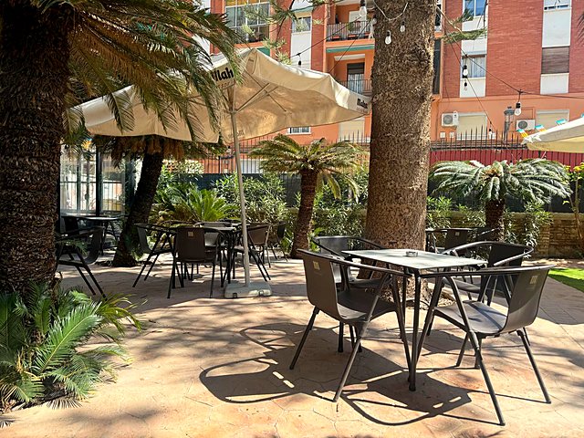 Shaded garden terrace with palm trees, tables and umbrellas
